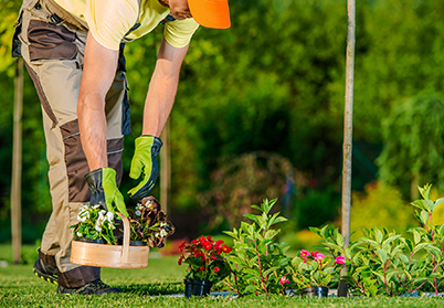 Garden Maintenance Services Cheltenham