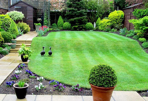 Garden Maintenance Services Cheltenham